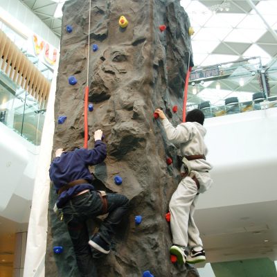 Mobile 2 Person Mobile Climbing Wall - Shopping Centre